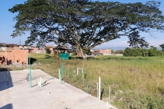 obandosf4