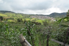 visitaversalles7